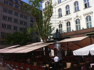 Warema p40 pergola