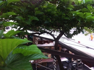 Warema p40 pergola